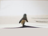 Italic Letters: Calligraphy & Handwriting International Edition