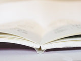 Getty-Dubay Italic Handwriting Series Instruction Manual