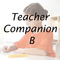 Teacher Companion B PDF