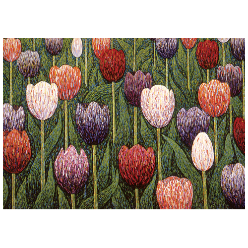 Greeting Card: Tulips